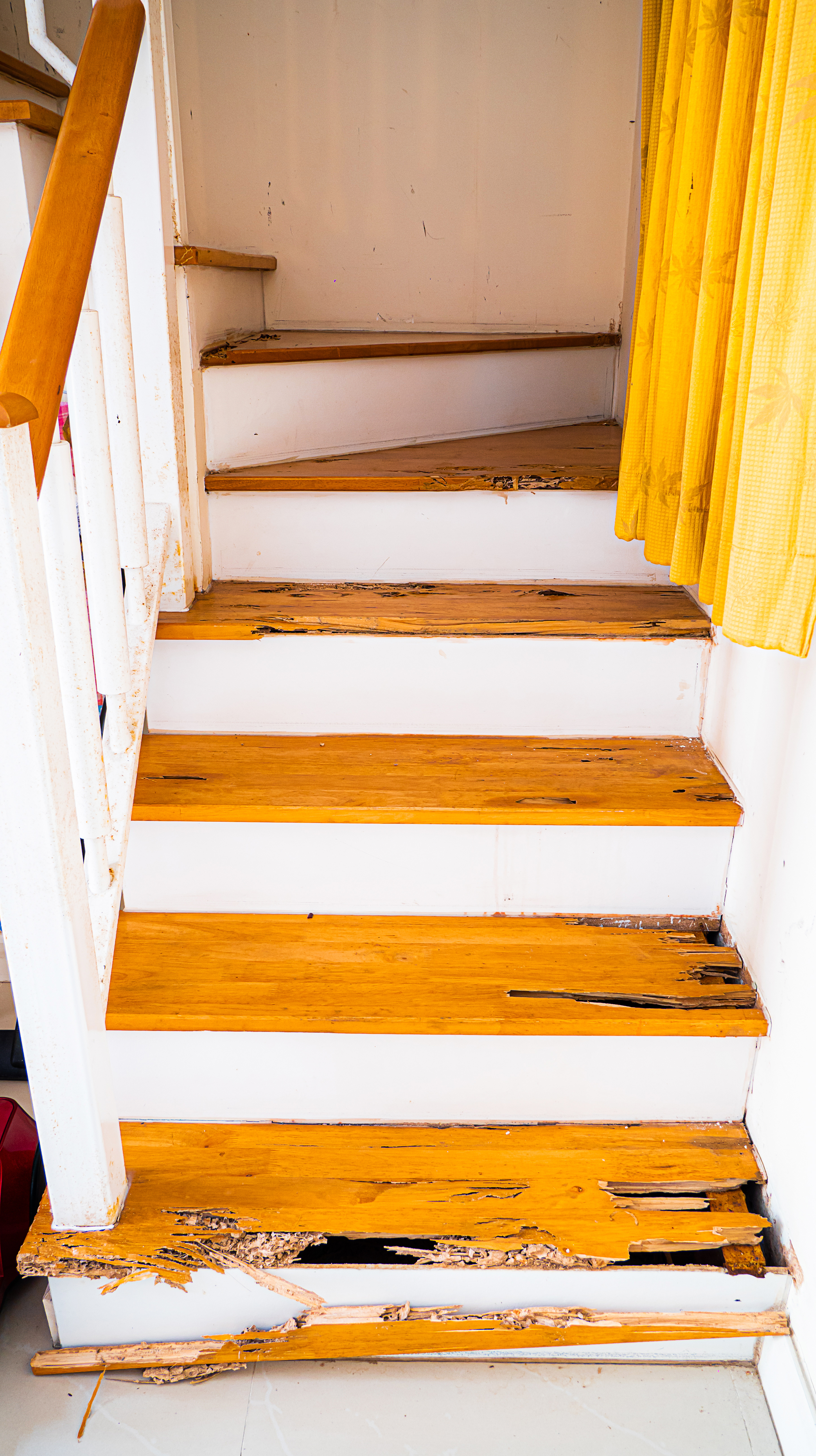 An image of stairs damaged by termites - Protect your home with the Best Termite Company.