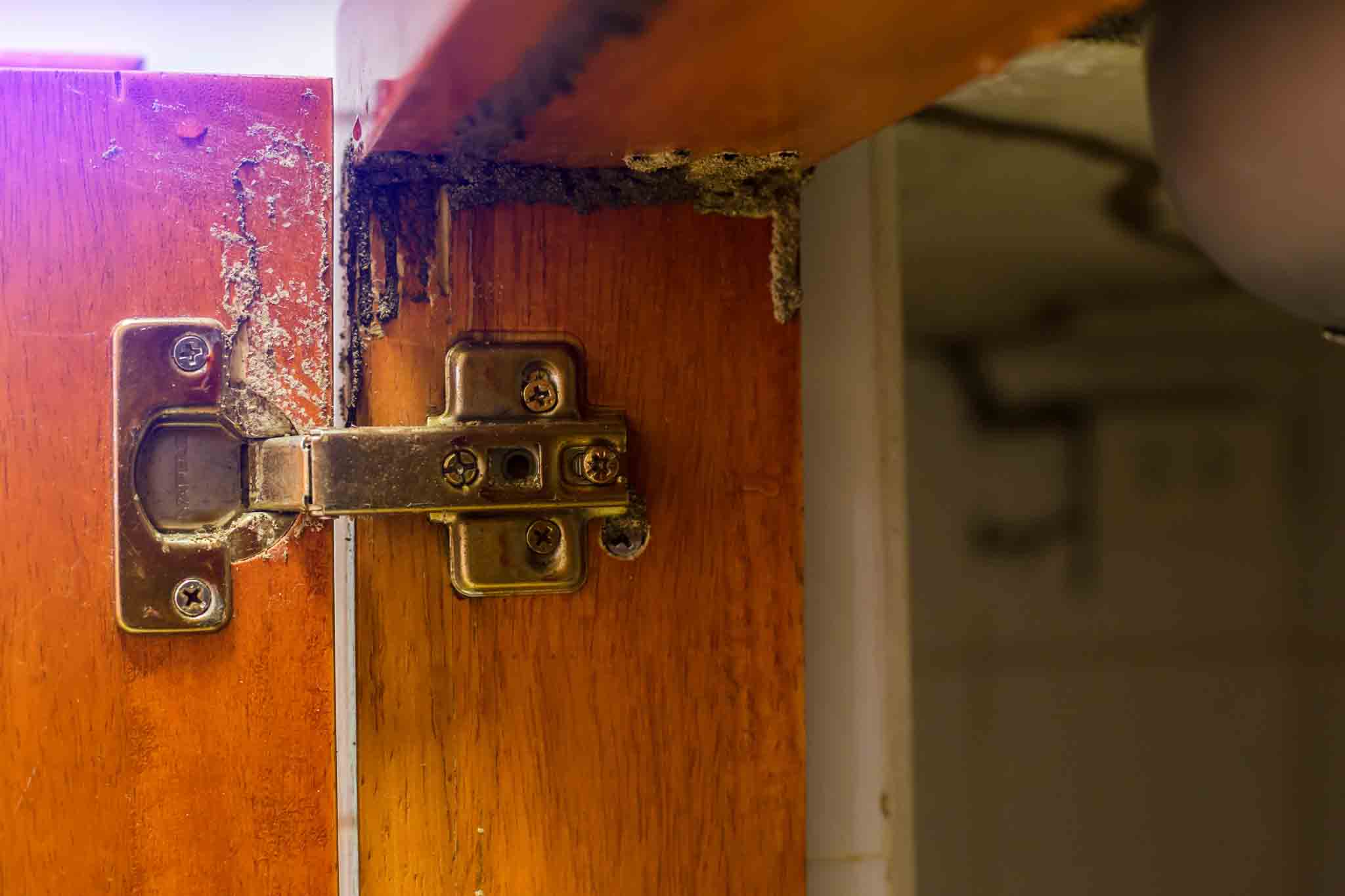 A piece of furniture damaged by termites.}