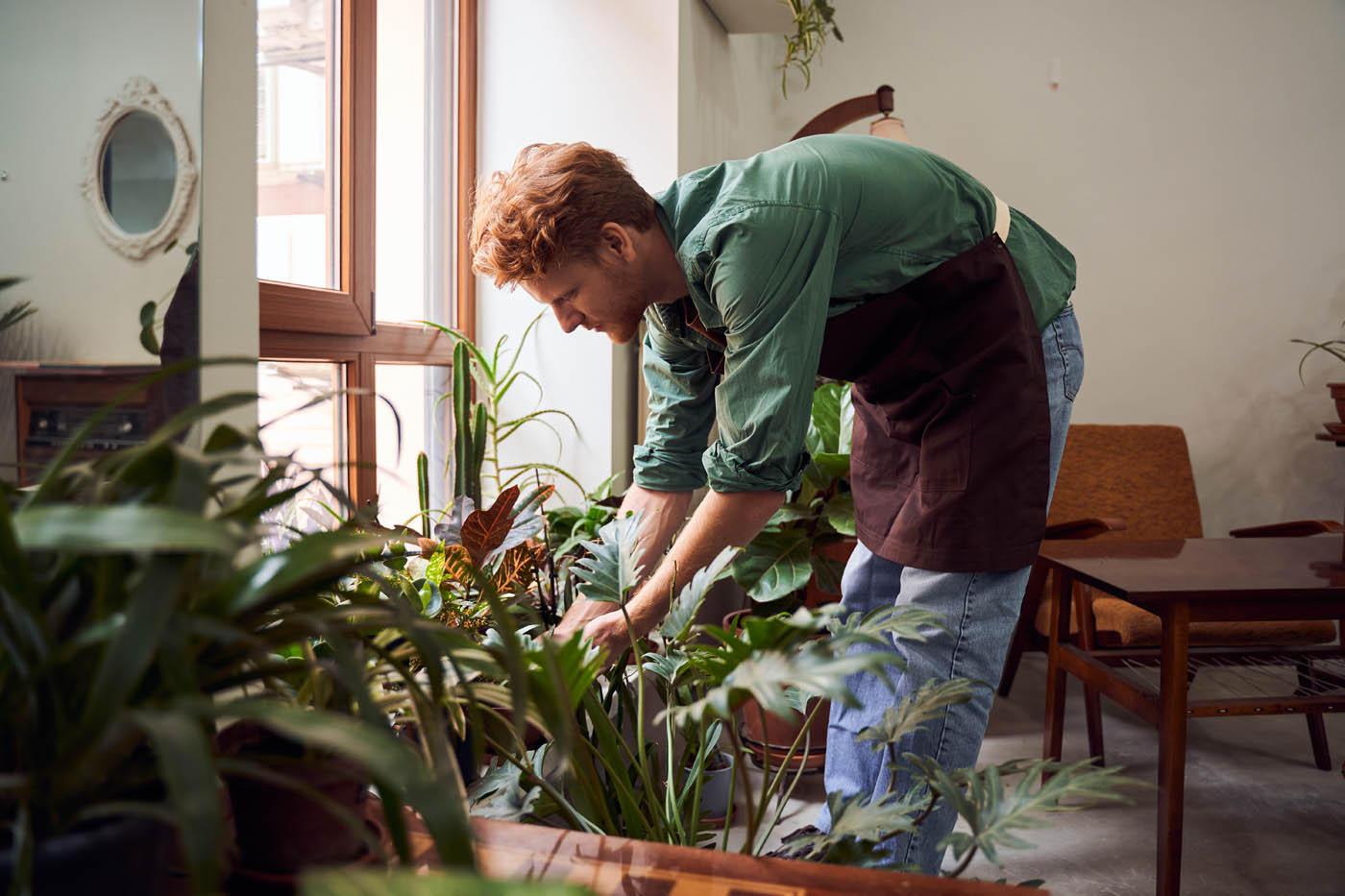 A person tending to their plants in a pest-free home - hire Hello Pest, a trusted roach exterminator, to restore your peace of mind.